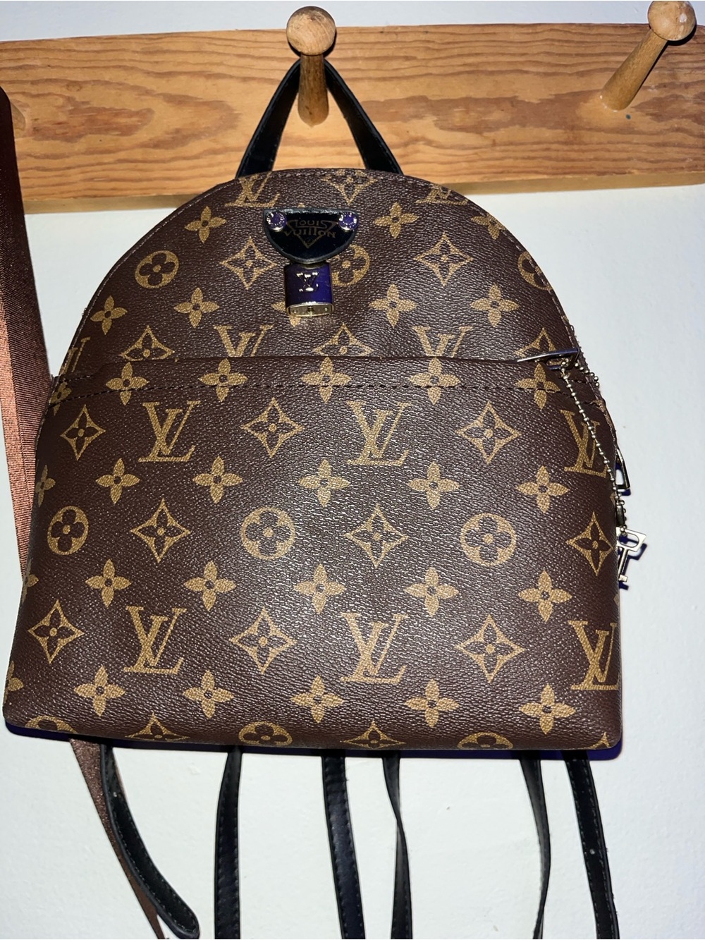 Louis Vuitton Brown Monogram Mini Backpack